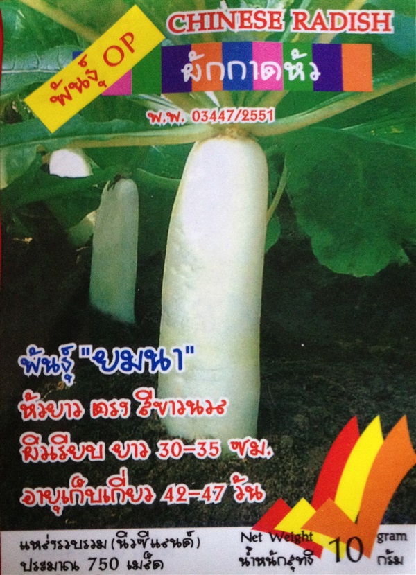 เมล็ดผักกาดหัว CHINESE RADISH | Anupong-Seed - โชคชัย นครราชสีมา