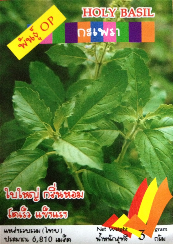 เมล็ดกะเพรา HOLY BASIL