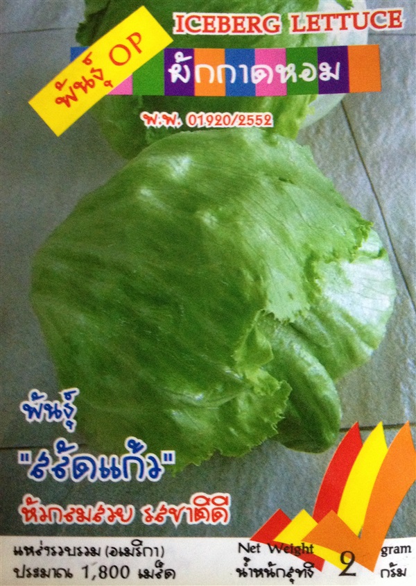 เมล็ดผักกาดหอม ICEBERG LETTUCE | Anupong-Seed - โชคชัย นครราชสีมา
