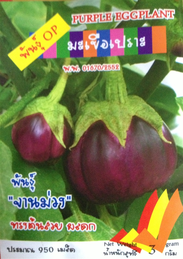 เมล็ดมะเขือเปราะ PURPLE EGGPLANT | Anupong-Seed - โชคชัย นครราชสีมา