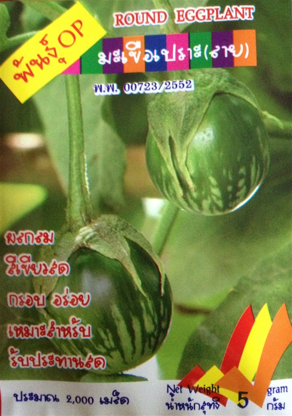 เมล็ดมะเขือเปราะลาย ROUND EGGPLANT | Anupong-Seed - โชคชัย นครราชสีมา