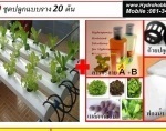 รหัส HH-020:ชุดปลูกผักไฮโดรโปนิกส์ 15 ช่องปลูก | Hydro Hobby Easy - บางเสาธง สมุทรปราการ