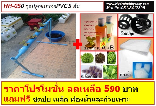 รหัส HH050:ชุดปลูกผักไฮโดรโปนิกส์ Hydro Hobby Set 5 ช่องปลูก