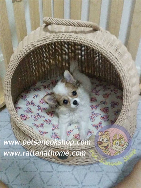 ที่นอนหวาย สัตว์เลี้ยง อุโมงค์หวาย สุนัข ที่นอนหวาย | Rattan At Home - จตุจักร กรุงเทพมหานคร