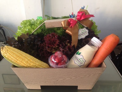 กระเช้าผักเพื่อเป็นของเยี่ยมและของขวัญ | tablelandgreengarden - บางนา กรุงเทพมหานคร