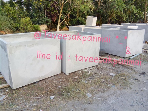 กระถางปูนผลิตเอง@Taveesakpanmai | สวนทวีศักดิ์พันธุ์ไม้ - องครักษ์ นครนายก