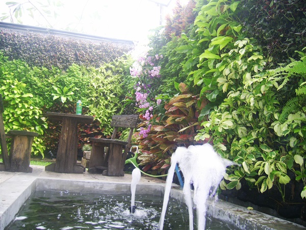 สวนแนวตั้ง (Vertical Garden) | KUlandscape - หลักสี่ กรุงเทพมหานคร