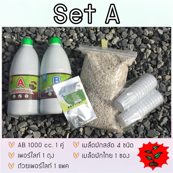 ชุดปลูกไฮโดรโปนิกส์ SET A | hydrohobby -  กรุงเทพมหานคร