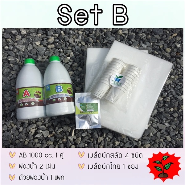 ชุดปลูกไฮโดรโปนิกส์ SET B   | hydrohobby -  กรุงเทพมหานคร