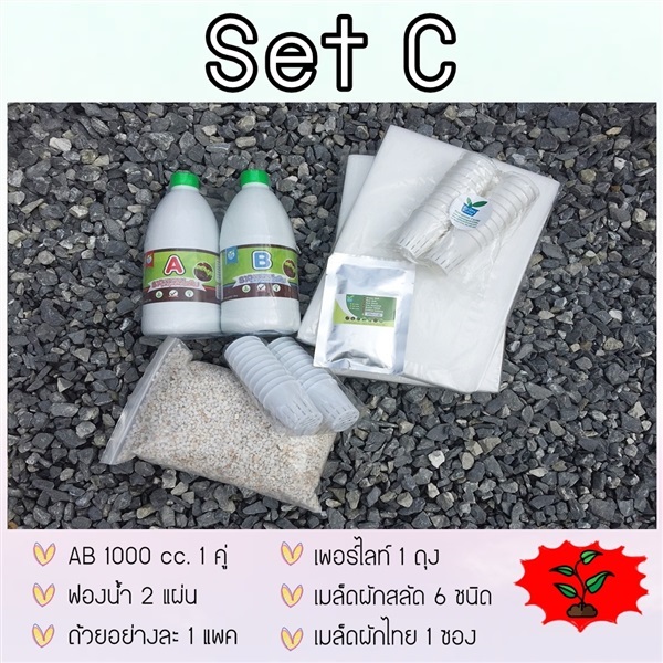 ชุดปลูกไฮโดรโปนิกส์ SET C | hydrohobby -  กรุงเทพมหานคร