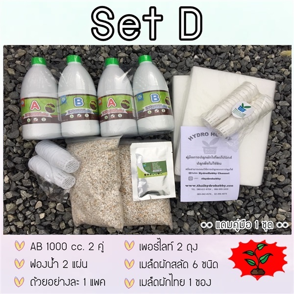 ชุดปลูกไฮโดรโปนิกส์ SET D                   | hydrohobby -  กรุงเทพมหานคร