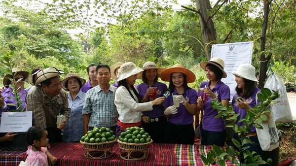 ซุ้มมะนาวกระถาง  | บ้านมะนาวกระถาง สวนเกษตรชลประทานแบบพอเพียง - เมืองขอนแก่น ขอนแก่น