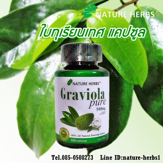 ใบทุเรียนเทศ 100% ชนิดแคปซูล | nature herbs - สาทร กรุงเทพมหานคร