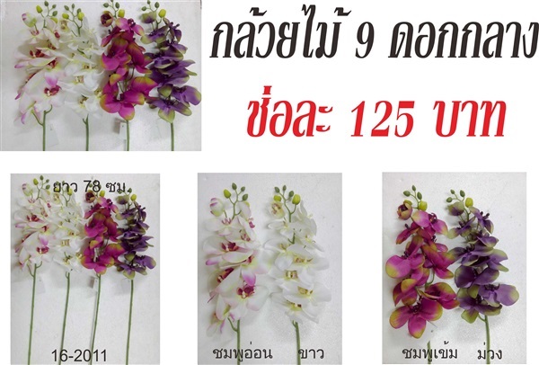 กล้วยไม้ 9 ดอกกลาง (16-2011)