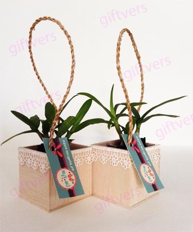 ของชำร่วยต้นกล้วยไม้แคระในกล่องไม้ | giftvers orchid - เมืองนครปฐม นครปฐม