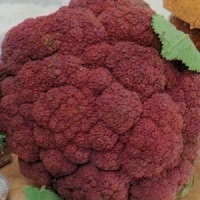 Cauliflower Violet Queen  | ไร่ภูธรา - เมืองเชียงใหม่ เชียงใหม่