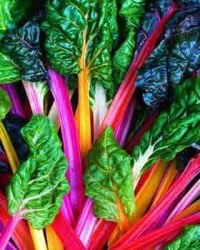 Leaf Beet Rainbow Chard (Organic)