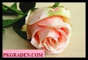 (ดอกไม้ปลอม)ดอกกุหลาบปลอมสีชมพูอ่อนขนาด 8 cm ราคาถูก