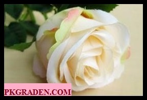 (ดอกไม้ปลอม)ดอกกุหลาบปลอมสีขาวขนาด 8 cm ราคาถูก
