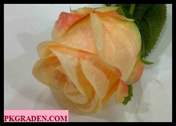 (ดอกไม้ปลอม)ดอกกุหลาบปลอมสีโอรสขนาด 8 cm ราคาถูก | PK Garden - จตุจักร กรุงเทพมหานคร