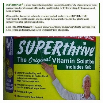 superthrive  The Original Vitamin Solution Includes Kelp | กิจธัญญา -  กรุงเทพมหานคร