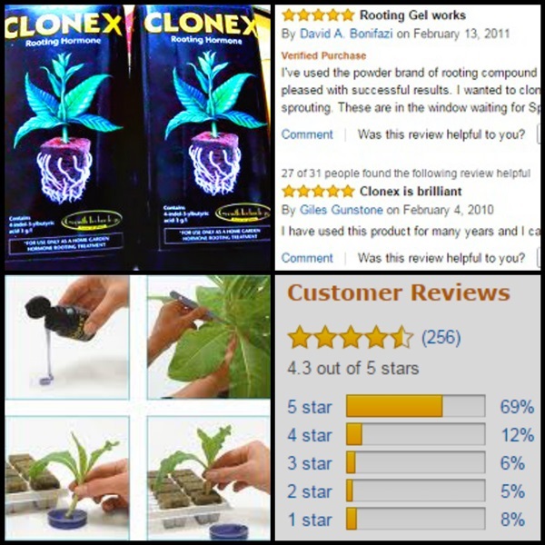 clonex rooting hormone gel