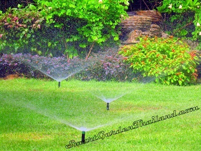 รับติดตั้งระบบรดน้ำต้นไม้ สปริงเกอร์ | Smart Garden - เมืองฉะเชิงเทรา ฉะเชิงเทรา
