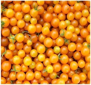 มะเขือเทศเคอเร้นท์สีเหลือง - Yellow Currant Tomato