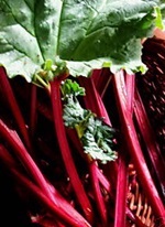 รูบาร์บ - Rhubarb | สกายสแครปเปอร์ - เมืองสมุทรปราการ สมุทรปราการ