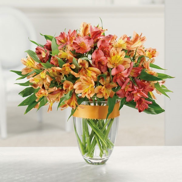 แอลสโตรมีเรียคละสี - Mixed Alstroemeria