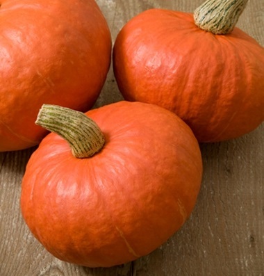 ฟักทองญี่ปุ่นสีส้ม - Orange Japanese Pumpkin