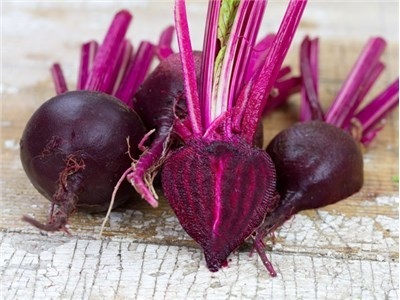 บีทเลือดกระทิง - Bull's Blood Beet