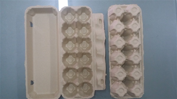 Egg Tray 12 Nos.