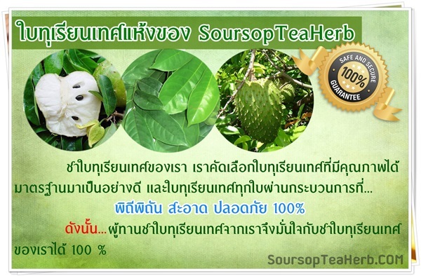 ใบทุเรียนเทศ สังซื้อได้ที่ Line ID : pagerich | Soursopteaherb - เมืองตาก ตาก