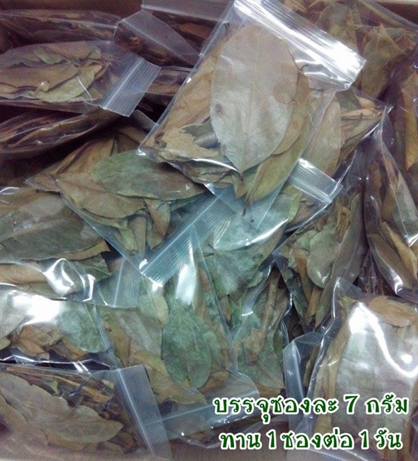 ใบทุเรียนเทศแห้ง สั่งซื้อได้ที่ Line ID :pagerich | Soursopteaherb - เมืองตาก ตาก