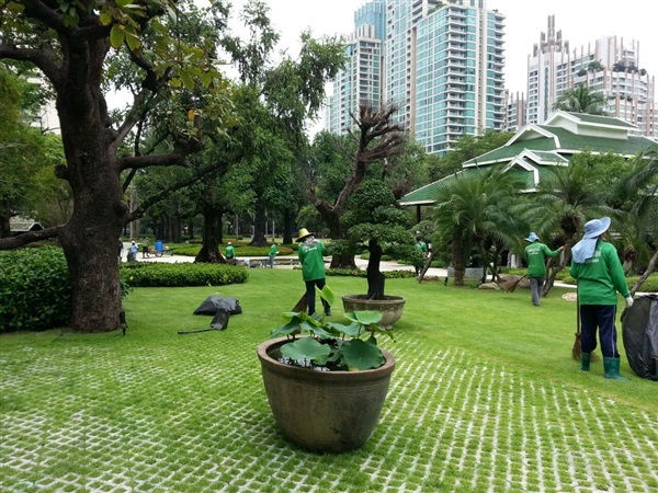 รับดูแลสวน สำหรับบ้านหรือโครงการต่างๆ | เกษตรเวิลด์  - บึงกุ่ม กรุงเทพมหานคร