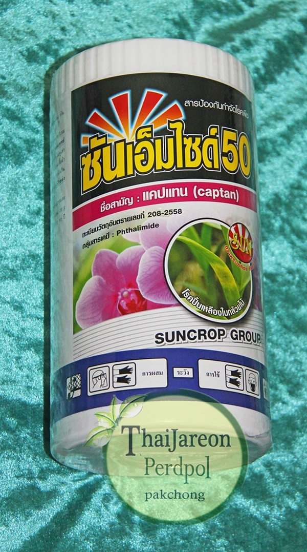 ซัมเอมไซด์ 50 สารป้องกันกำจัดโรค ในกล้วยไม้ | ร้านไทยเจริญพืชผล ปากช่อง - ปากช่อง นครราชสีมา