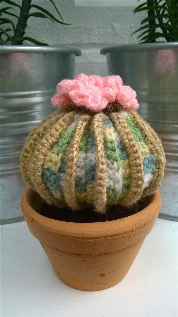 cactus 3"(6)