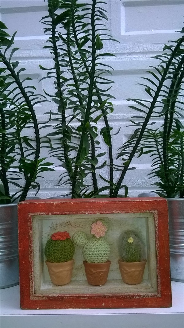 กรอบรูป cactus 2   / ขายแล้ว  | Cactus  "never dies" - บางนา กรุงเทพมหานคร