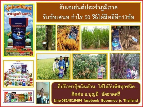 ปุ๋ย | boonmee  jc  thailand - เมืองสมุทรปราการ สมุทรปราการ