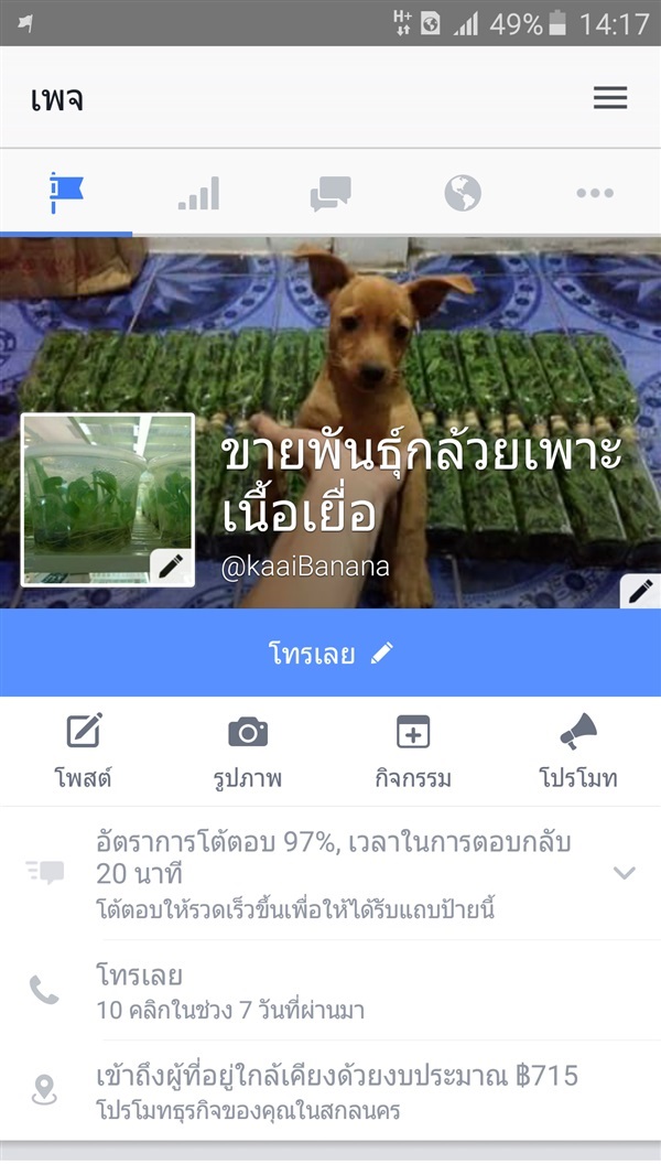 จำหน่วยพันธุ์กล้วยทุกชนิด | kaaiBanana - พังโคน สกลนคร