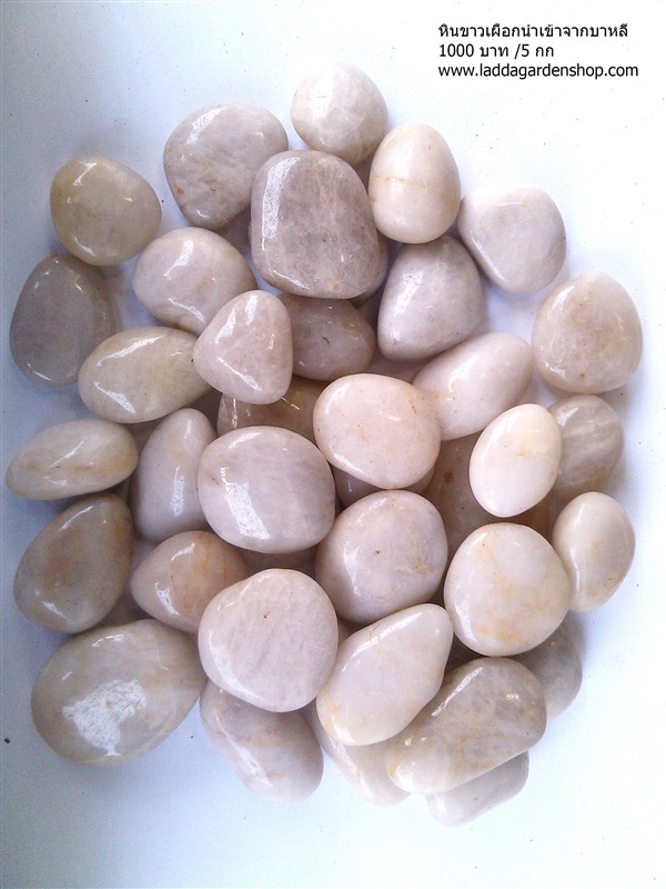 หินขาวเผือกนำเข้าจากบาหลี่ | laddagarden - ลาดหลุมแก้ว ปทุมธานี