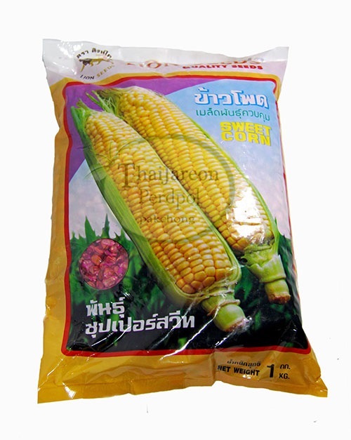 เมล็ดพันธุ์ข้าวโพดหวาน Sweet Corn พันธุ์ซุปเปอร์สวีท ขนาด 1 