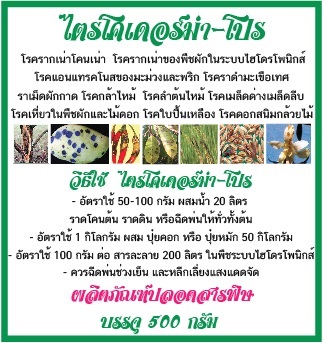 ไตรโคเดอร์ม่า คุณภาพสูง (ชนิดผง)(500กรัม)(1ซอง ราคา 90 บาท) | ร้านบุษรา - สามพราน นครปฐม