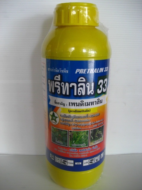 พรีทาลีน33