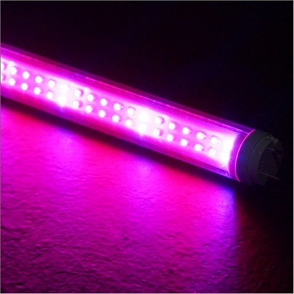 LED ปลูกดอกไม้ ขนาด 6W 138 ดวง ราคา 590 บาท/หลอด ฟรี EMS | POWER FULL - เมืองปทุมธานี ปทุมธานี