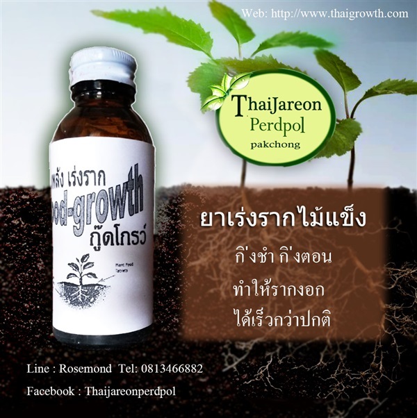 ยาเร่งรากไม้แข็ง กู๊ดโกรว์ Good Growth | ร้านไทยเจริญพืชผล ปากช่อง - ปากช่อง นครราชสีมา