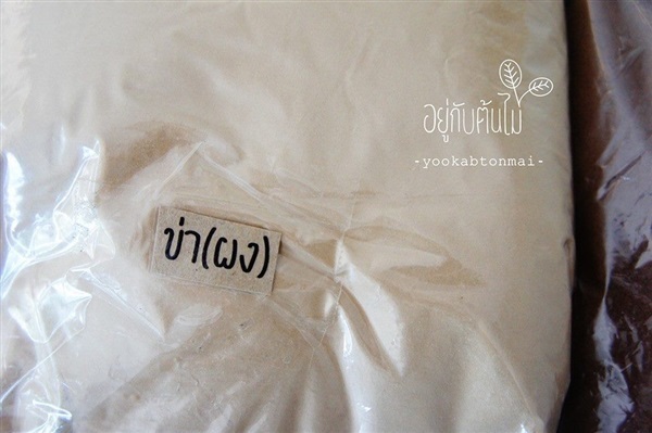 ข่า(ผง)  | อยู่กับต้นไม้ - เมืองนครปฐม นครปฐม