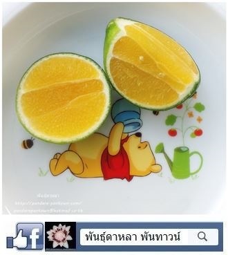 มะนาวเนื้อทองหวาน | พันธุ์ดาหลา - เมืองเชียงใหม่ เชียงใหม่