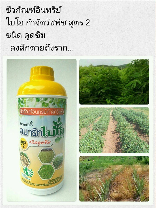 สารสกัดอินทรีย์ กำจัดวัชพืช สูตร2 ชนิดดูดซึม